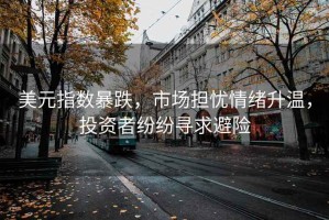 美元指數(shù)暴跌，市場擔(dān)憂情緒升溫，投資者紛紛尋求避險