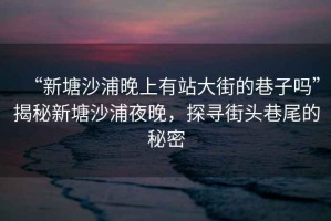 “新塘沙浦晚上有站大街的巷子嗎”揭秘新塘沙浦夜晚，探尋街頭巷尾的秘密