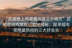 “武威晚上雞窩最出名三個地方”武威夜間雞窩熱門勝地揭秘，探尋城市夜晚最熱鬧的三大好去處