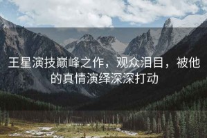 王星演技巔峰之作，觀眾淚目，被他的真情演繹深深打動(dòng)
