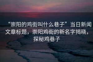“崇陽的雞街叫什么巷子”當日新聞文章標題，崇陽雞街的新名字揭曉，探秘雞巷子