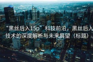“黑絲后入15p”科技前沿，黑絲后入技術(shù)的深度解析與未來展望（標(biāo)題）