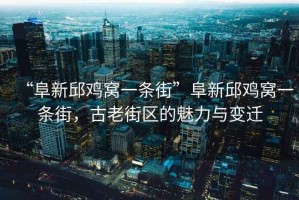 “阜新邱雞窩一條街”阜新邱雞窩一條街，古老街區(qū)的魅力與變遷