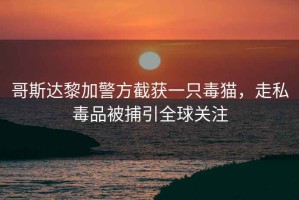 哥斯達(dá)黎加警方截獲一只毒貓，走私毒品被捕引全球關(guān)注