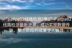 “palipali2線路檢測3果1”Palipali2線路檢測最新進(jìn)展，成功實現(xiàn)數(shù)據(jù)傳輸，第三階段的成果令人矚目
