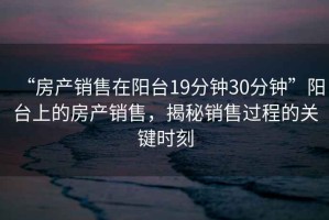 “房產(chǎn)銷售在陽臺19分鐘30分鐘”陽臺上的房產(chǎn)銷售，揭秘銷售過程的關(guān)鍵時刻