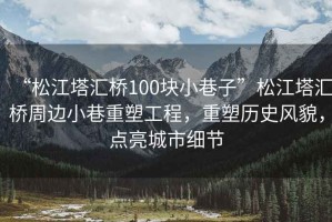 “松江塔匯橋100塊小巷子”松江塔匯橋周邊小巷重塑工程，重塑歷史風(fēng)貌，點(diǎn)亮城市細(xì)節(jié)