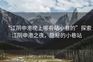 “江陰申港晚上哪有站小巷的”探索江陰申港之夜，隱秘的小巷站