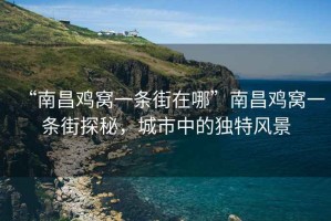 “南昌雞窩一條街在哪”南昌雞窩一條街探秘，城市中的獨(dú)特風(fēng)景