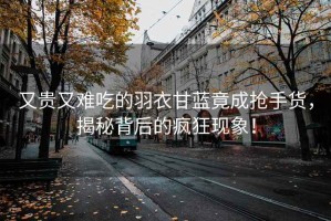 又貴又難吃的羽衣甘藍(lán)竟成搶手貨，揭秘背后的瘋狂現(xiàn)象！