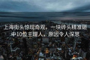 上海街頭驚現奇觀，一塊磚頭精準砸中10位主理人，原因令人深思