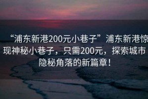 “浦東新港200元小巷子”浦東新港驚現(xiàn)神秘小巷子，只需200元，探索城市隱秘角落的新篇章！