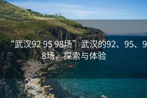 “武漢92 95 98場”武漢的92、95、98場，探索與體驗(yàn)