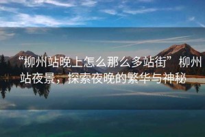 “柳州站晚上怎么那么多站街”柳州站夜景，探索夜晚的繁華與神秘