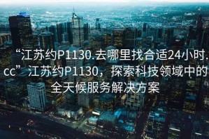 “江蘇約P1130.去哪里找合適24小時.cc”江蘇約P1130，探索科技領(lǐng)域中的全天候服務(wù)解決方案
