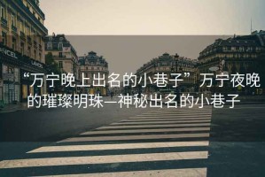 “萬(wàn)寧晚上出名的小巷子”萬(wàn)寧夜晚的璀璨明珠—神秘出名的小巷子