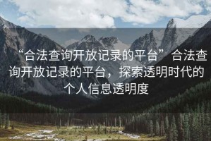“合法查詢開放記錄的平臺”合法查詢開放記錄的平臺，探索透明時代的個人信息透明度