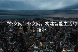 “條女網(wǎng)”條女網(wǎng)，構(gòu)建智能生活的新紐帶