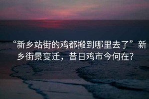 “新鄉(xiāng)站街的雞都搬到哪里去了”新鄉(xiāng)街景變遷，昔日雞市今何在？