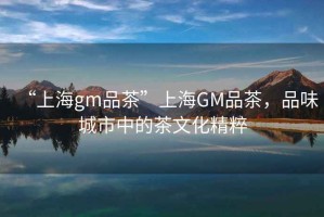 “上海gm品茶”上海GM品茶，品味城市中的茶文化精粹