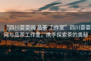 “四川耍耍網(wǎng) 品茶 工作室”四川耍耍網(wǎng)與品茶工作室，攜手探索茶的奧秘