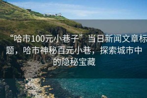 “哈市100元小巷子”當(dāng)日新聞文章標(biāo)題，哈市神秘百元小巷，探索城市中的隱秘寶藏