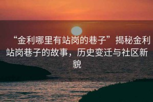 “金利哪里有站崗的巷子”揭秘金利站崗巷子的故事，歷史變遷與社區(qū)新貌