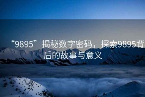 “9895”揭秘數(shù)字密碼，探索9895背后的故事與意義