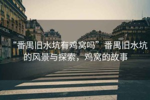 “番禺舊水坑有雞窩嗎”番禺舊水坑的風(fēng)景與探索，雞窩的故事