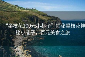 “攀枝花100元小巷子”揭秘攀枝花神秘小巷子，百元美食之旅