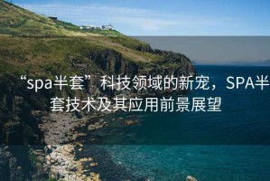 “spa半套”科技領(lǐng)域的新寵，SPA半套技術(shù)及其應(yīng)用前景展望