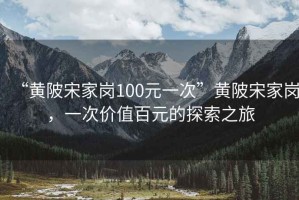 “黃陂宋家崗100元一次”黃陂宋家崗，一次價值百元的探索之旅