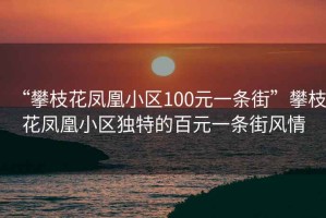“攀枝花鳳凰小區(qū)100元一條街”攀枝花鳳凰小區(qū)獨特的百元一條街風情