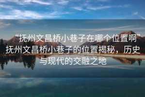 “撫州文昌橋小巷子在哪個位置啊”撫州文昌橋小巷子的位置揭秘，歷史與現(xiàn)代的交融之地