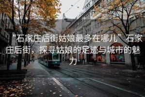 “石家莊后街姑娘最多在哪兒”石家莊后街，探尋姑娘的足跡與城市的魅力