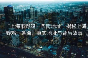 “上海市野雞一條街地址”揭秘上海野雞一條街，真實地址與背后故事