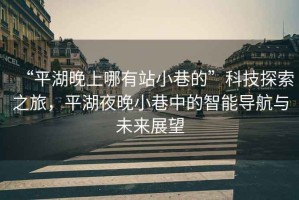 “平湖晚上哪有站小巷的”科技探索之旅，平湖夜晚小巷中的智能導(dǎo)航與未來展望