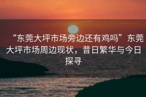 “東莞大坪市場旁邊還有雞嗎”東莞大坪市場周邊現(xiàn)狀，昔日繁華與今日探尋