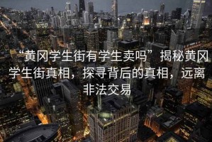 “黃岡學(xué)生街有學(xué)生賣嗎”揭秘黃岡學(xué)生街真相，探尋背后的真相，遠(yuǎn)離非法交易
