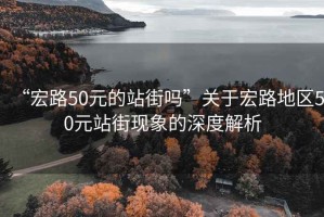 “宏路50元的站街嗎”關于宏路地區(qū)50元站街現(xiàn)象的深度解析