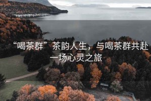 “喝茶群”茶韻人生，與喝茶群共赴一場心靈之旅