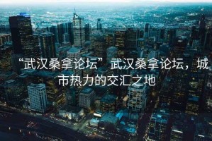 “武漢桑拿論壇”武漢桑拿論壇，城市熱力的交匯之地