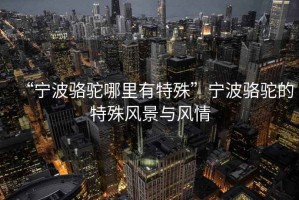 “寧波駱駝哪里有特殊”寧波駱駝的特殊風(fēng)景與風(fēng)情