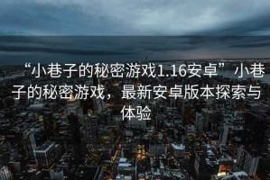 “小巷子的秘密游戲1.16安卓”小巷子的秘密游戲，最新安卓版本探索與體驗(yàn)