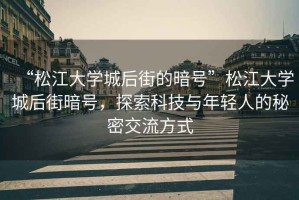 “松江大學(xué)城后街的暗號”松江大學(xué)城后街暗號，探索科技與年輕人的秘密交流方式