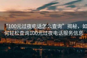 “100元過(guò)夜電話怎么查詢”揭秘，如何輕松查詢100元過(guò)夜電話服務(wù)信息