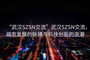 “武漢SZSN交流”武漢SZSN交流，城市發(fā)展的脈搏與科技創(chuàng)新的浪潮