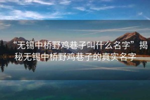 “無錫中橋野雞巷子叫什么名字”揭秘無錫中橋野雞巷子的真實名字