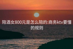 陪酒女800元是怎么陪的:商務(wù)ktv要懂的規(guī)則