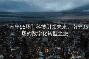 “南寧95場”科技引領(lǐng)未來，南寧95場的數(shù)字化轉(zhuǎn)型之旅